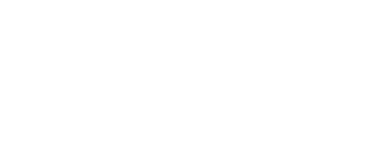 Elbe Unique